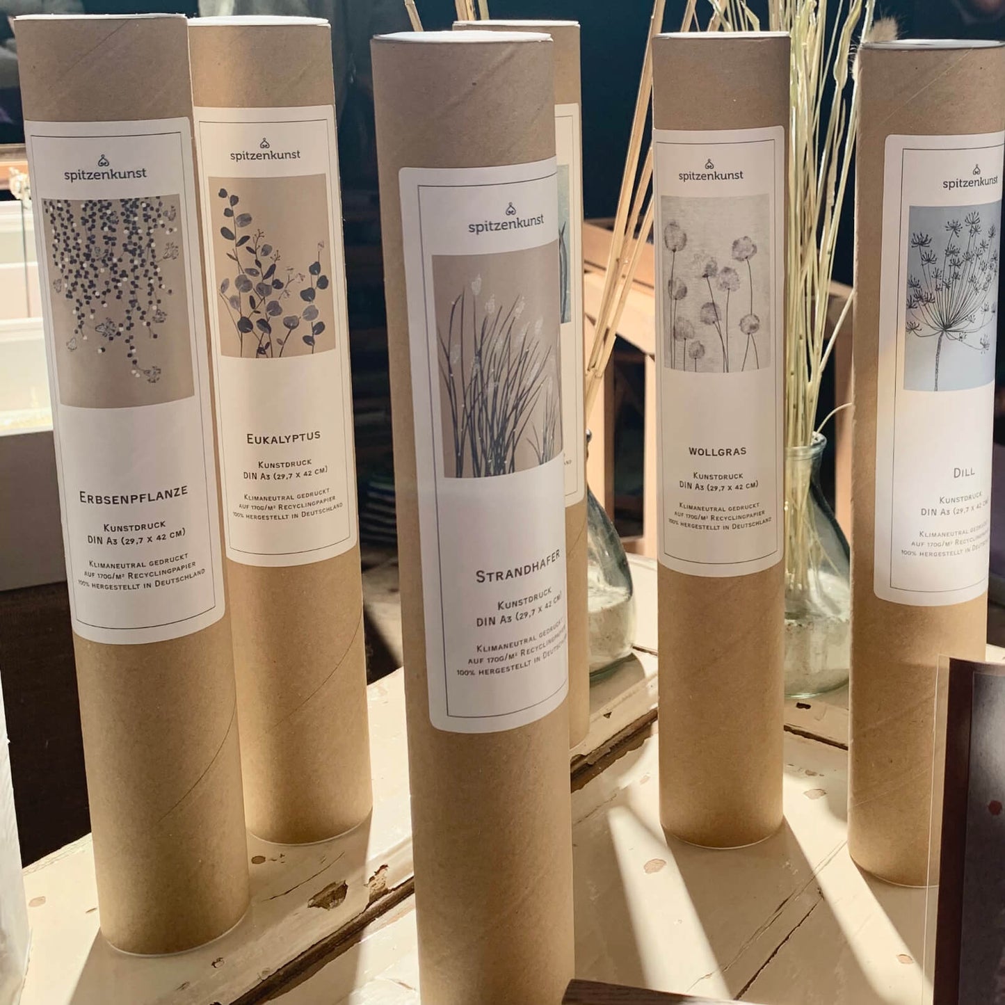 Poster Eucalyptus