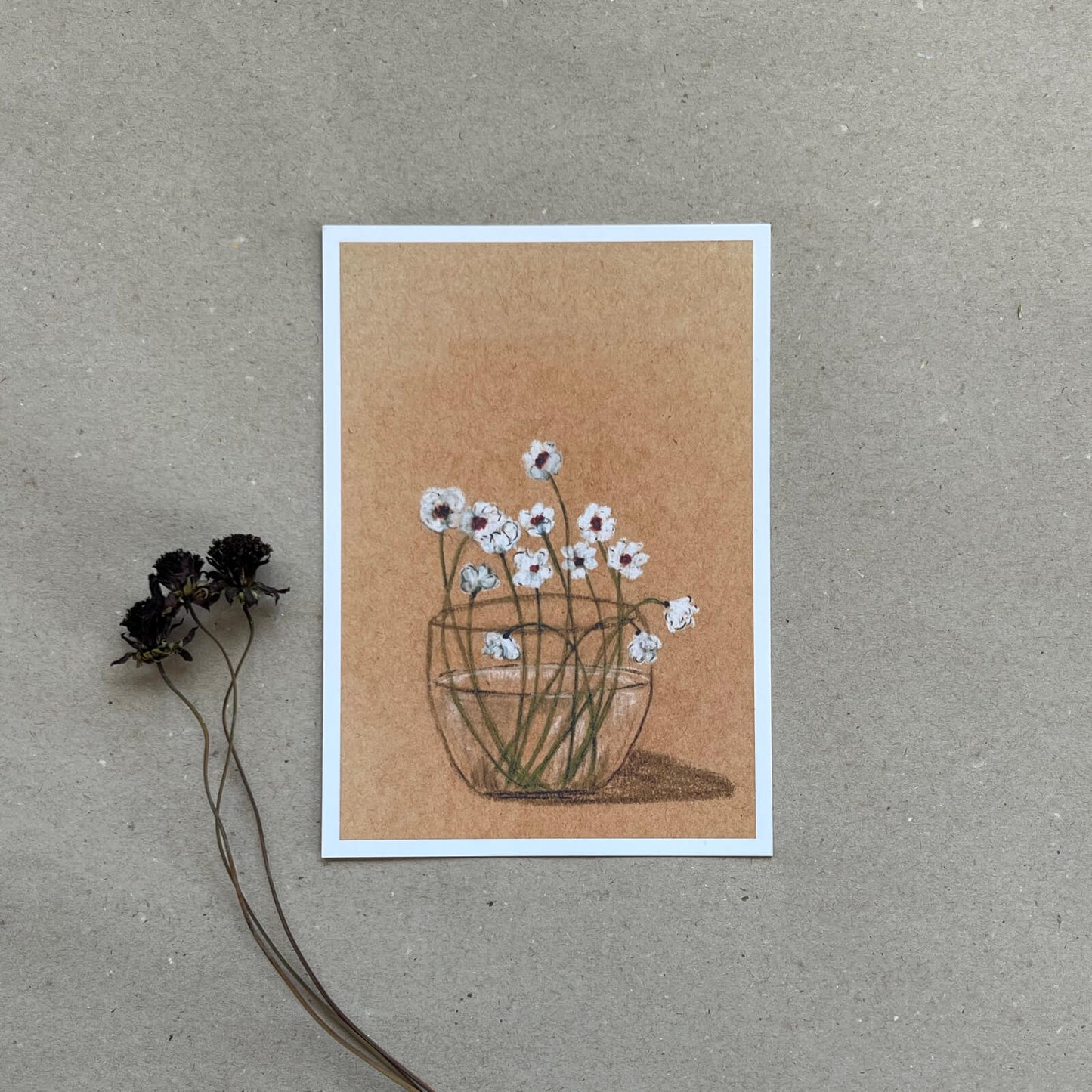 Postkarte Anemonen (Händler)