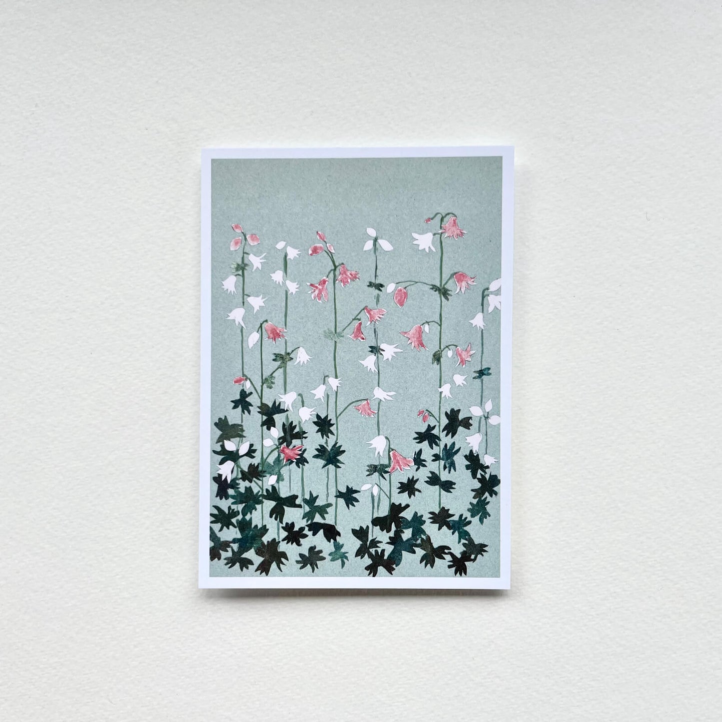 Postkarte Akelei (Händler)