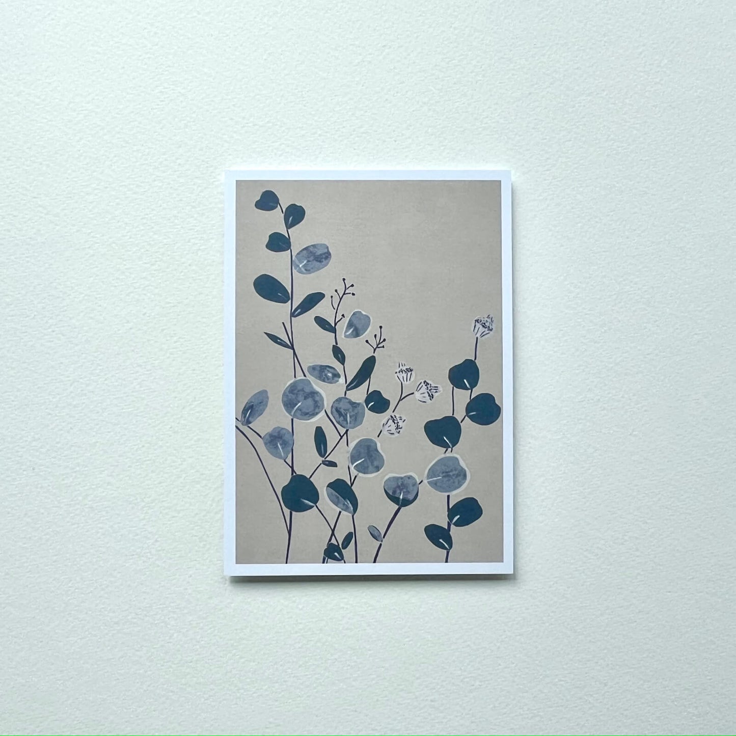 Postkarte Eukalyptus (Händler)