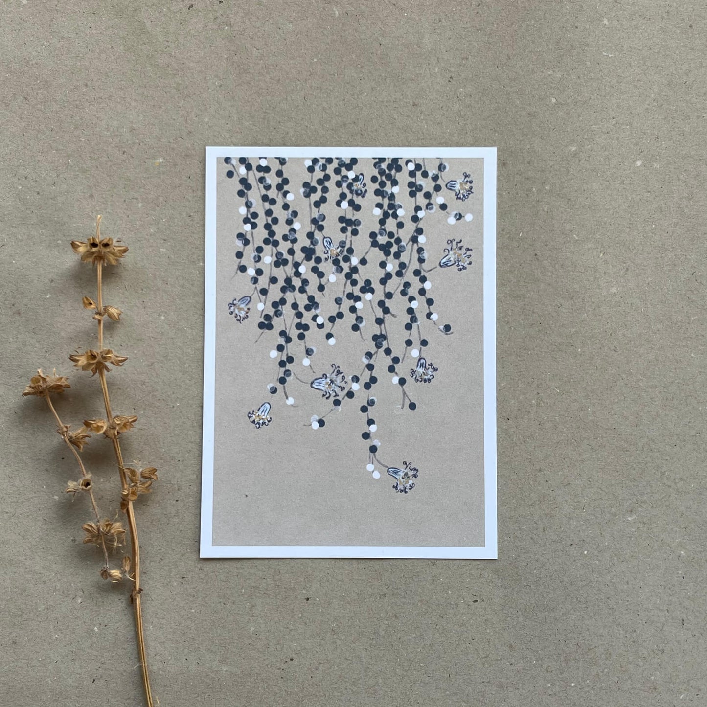 Postkarte Erbsenpflanze