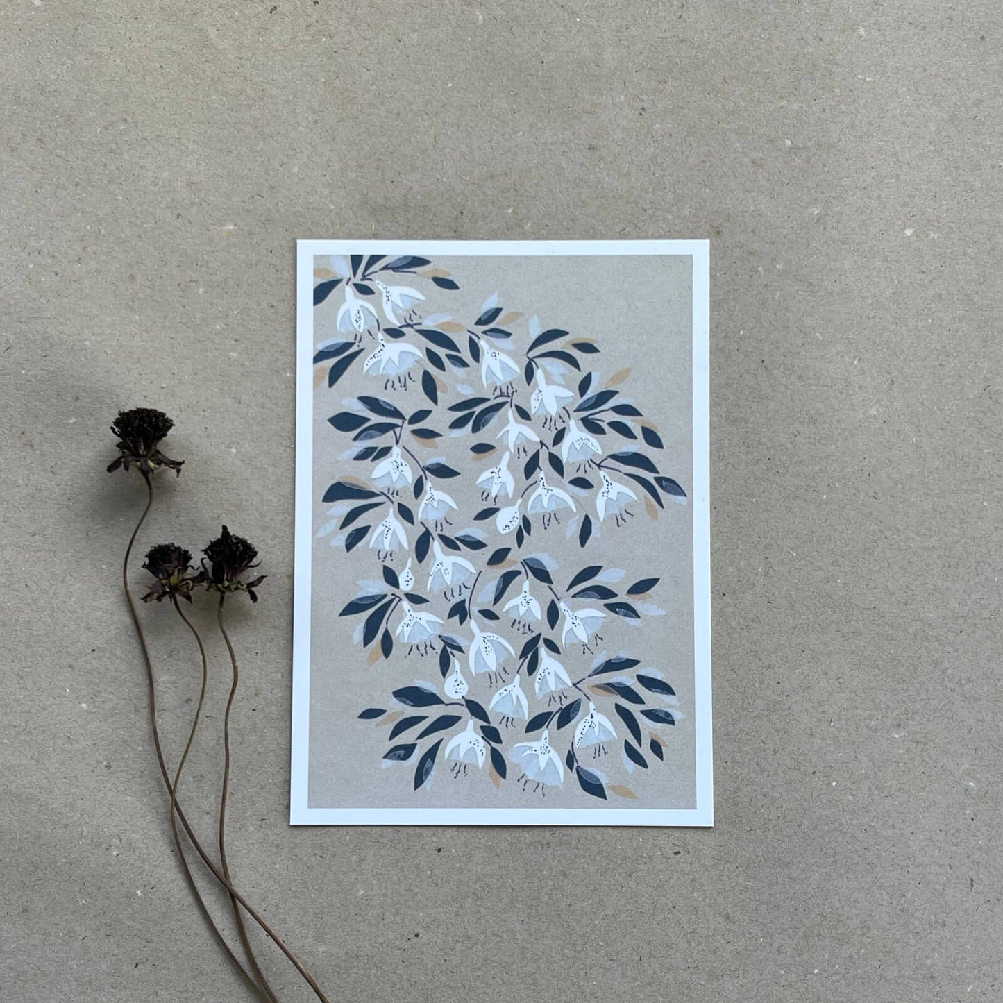 Postkarte Fuchsie (Händler)