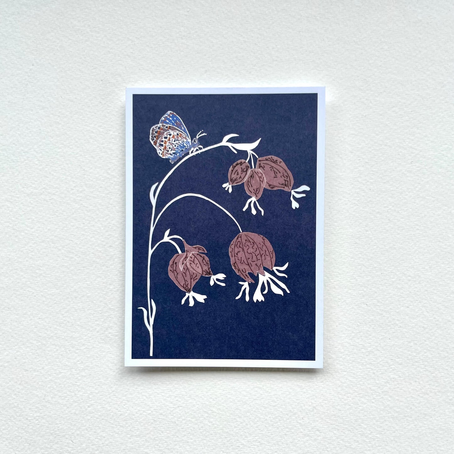 Postkarte Bläuling