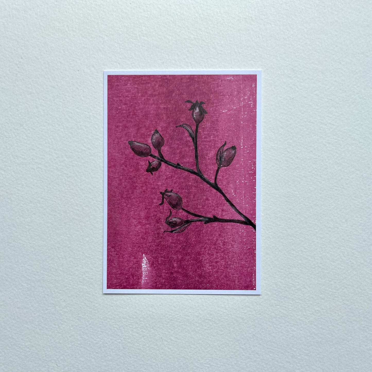 Postcard Rosehip (Retailer)