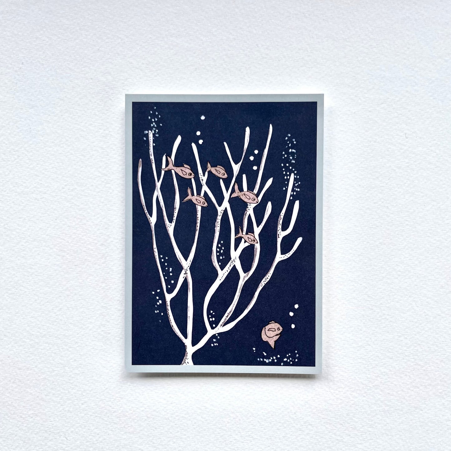 Postkarte Korallen