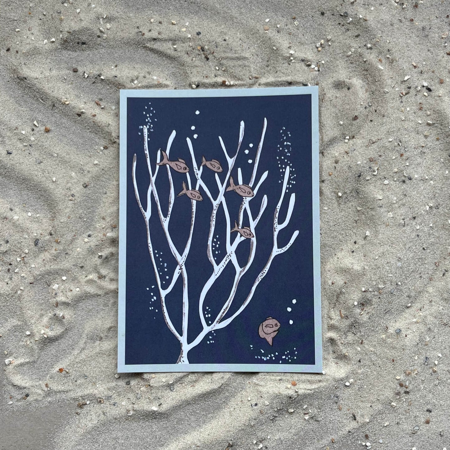 Postkarte Korallen