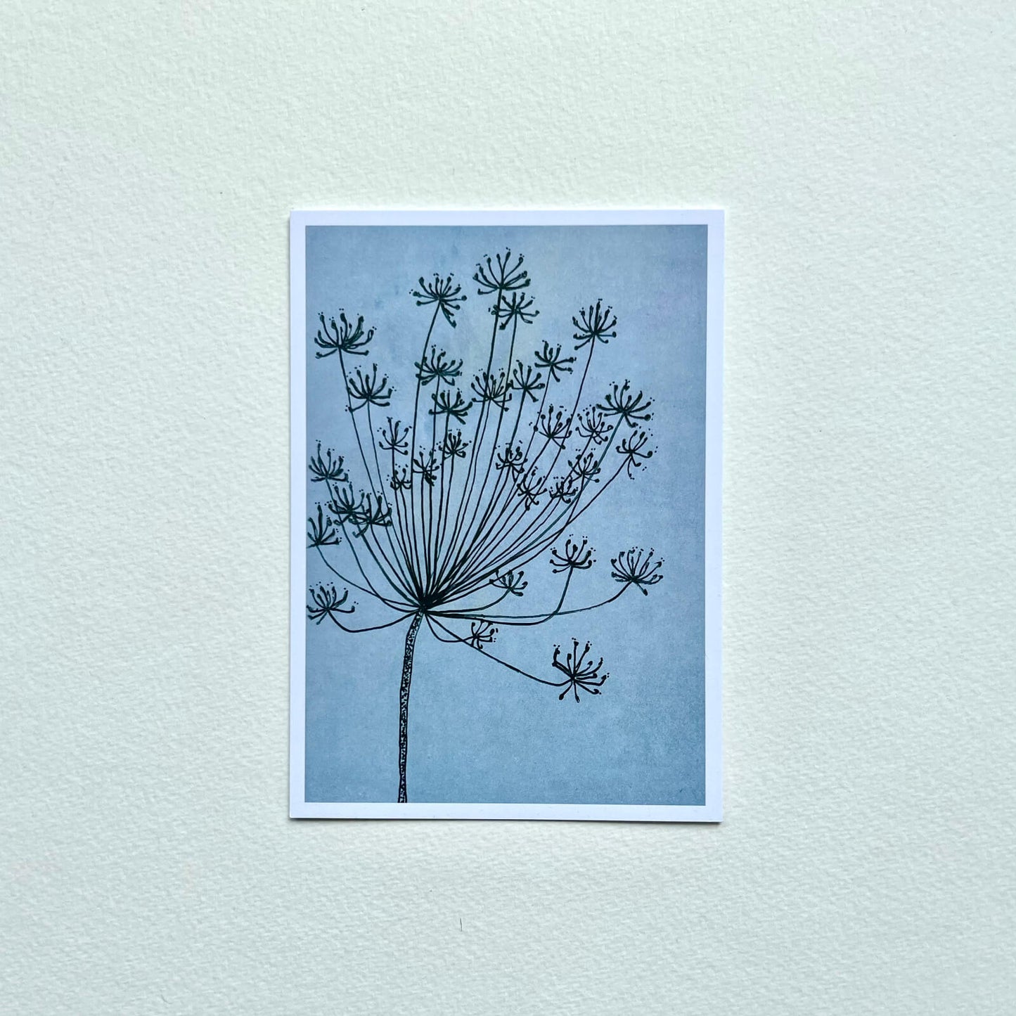 Postkarte Dill