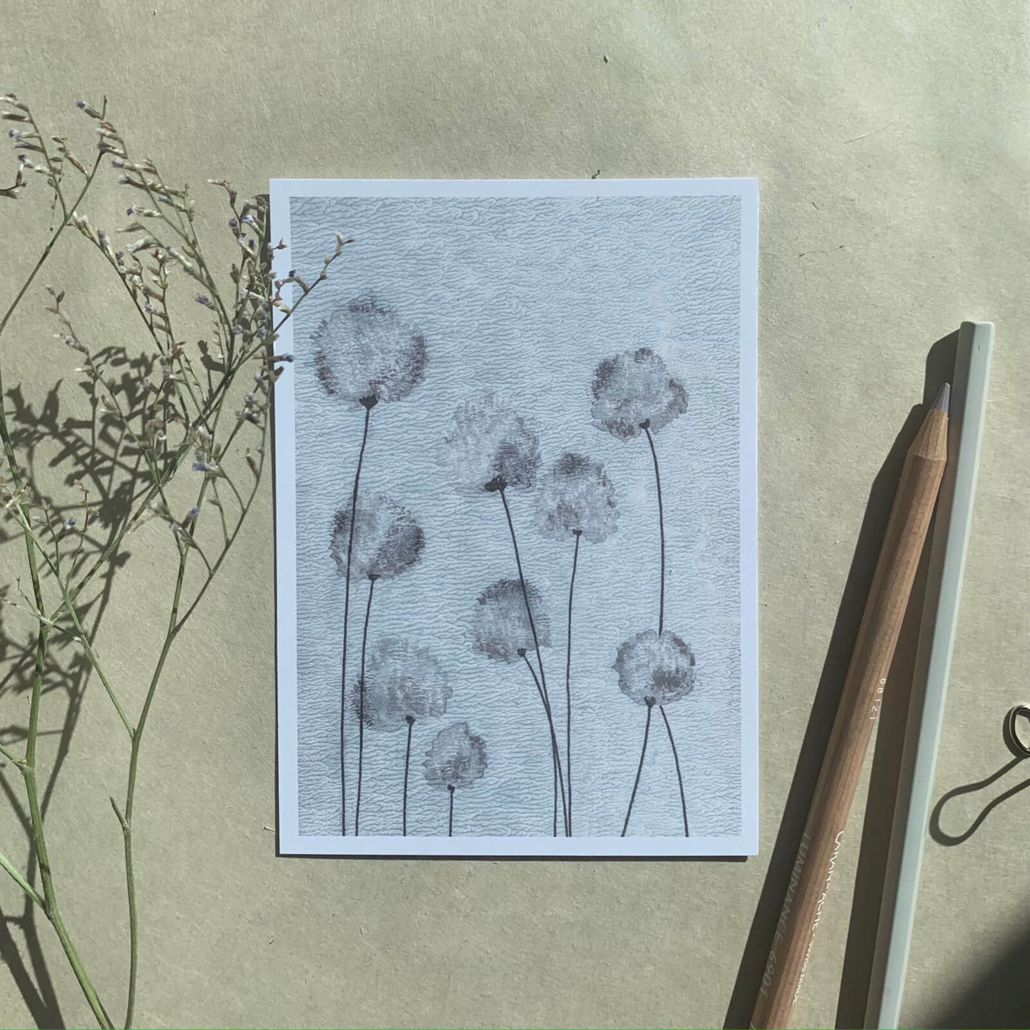 Postkarte Wollgras (Händler)