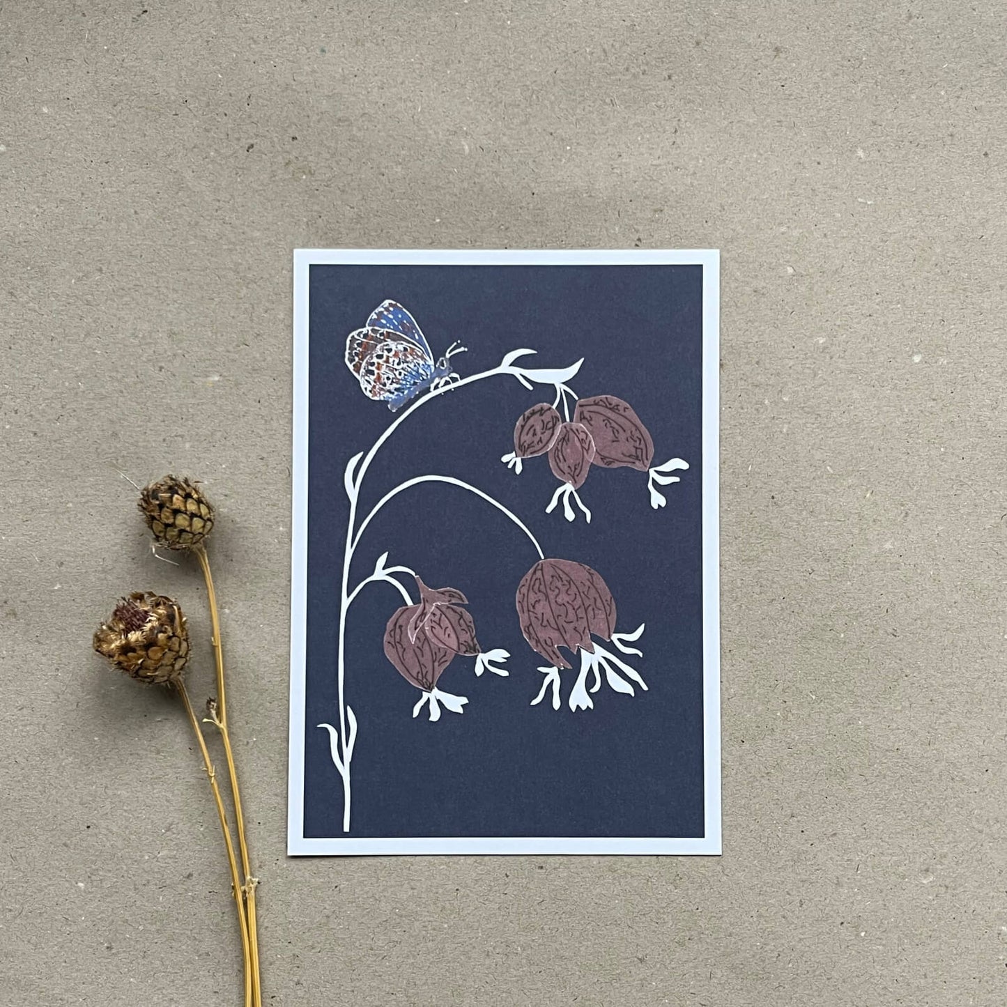 Postkarte Bläuling