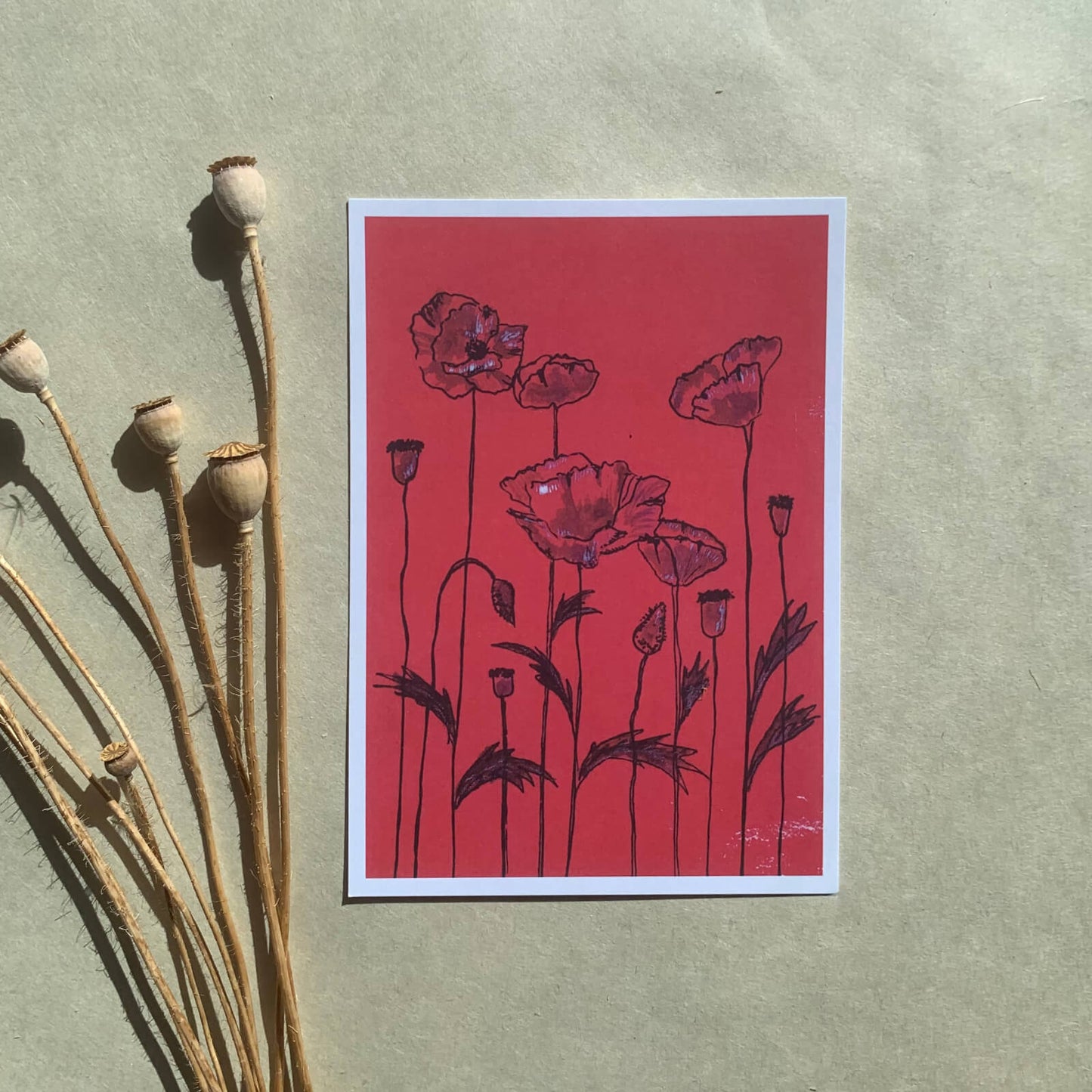 Postkarte Klatschmohn (Händler)