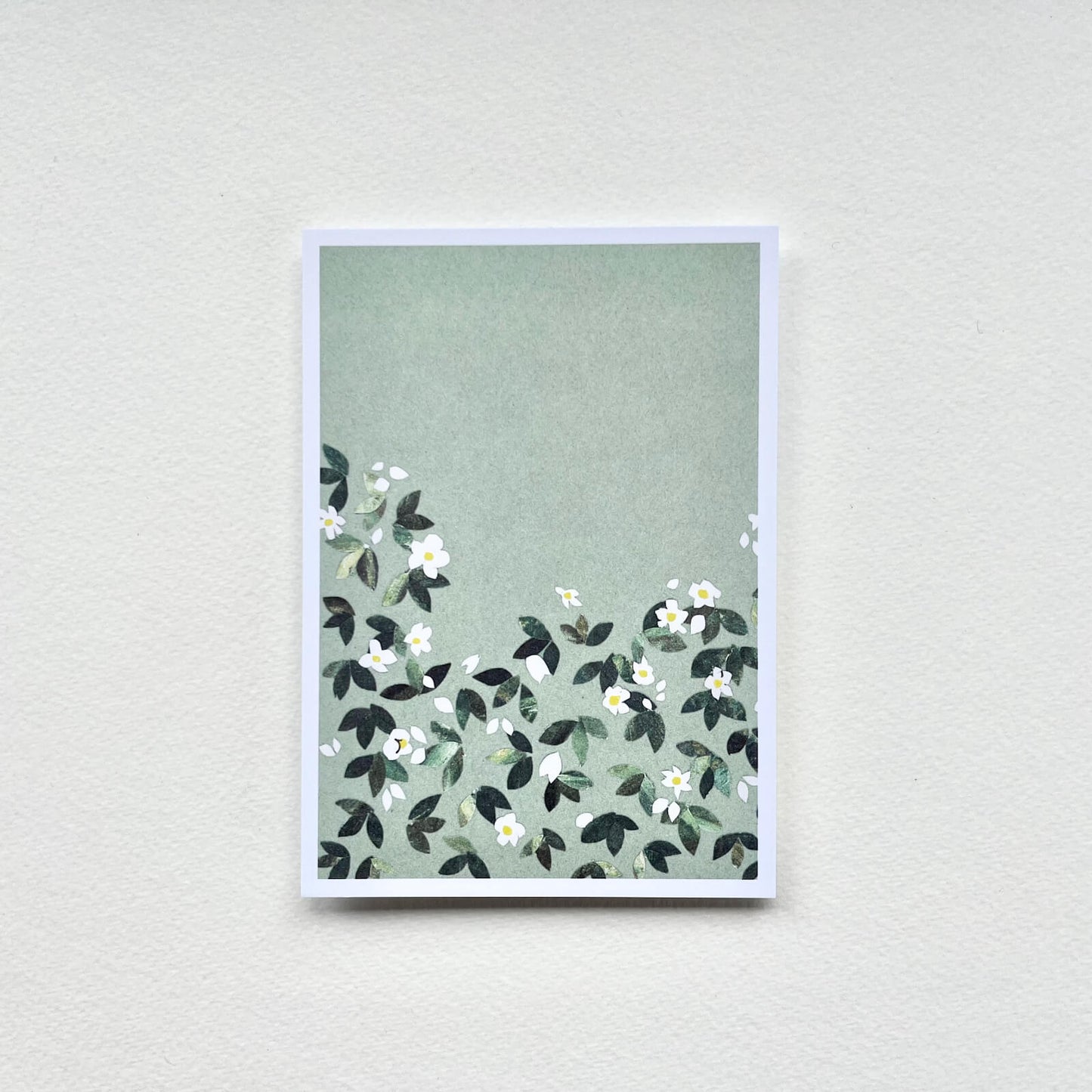 Postkarte Jasmin