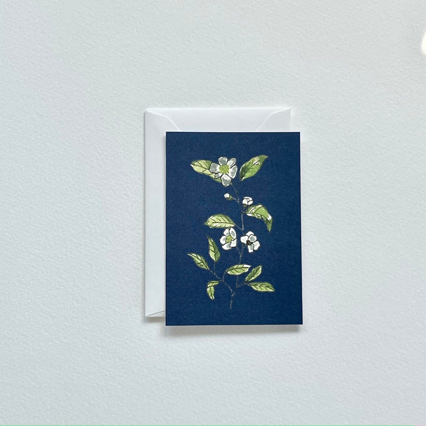 Minkarte Teepflanze (Händler)