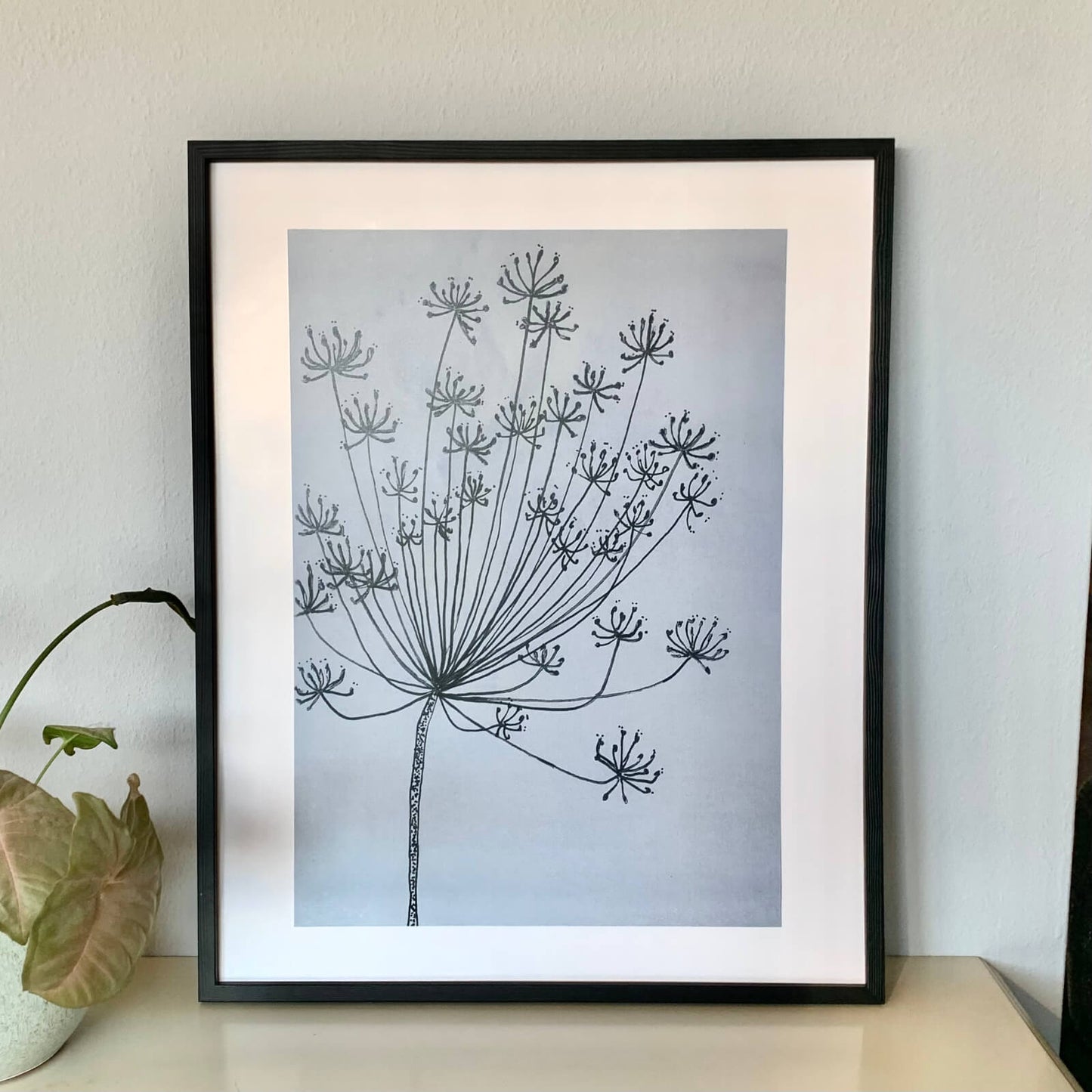 Poster Dill