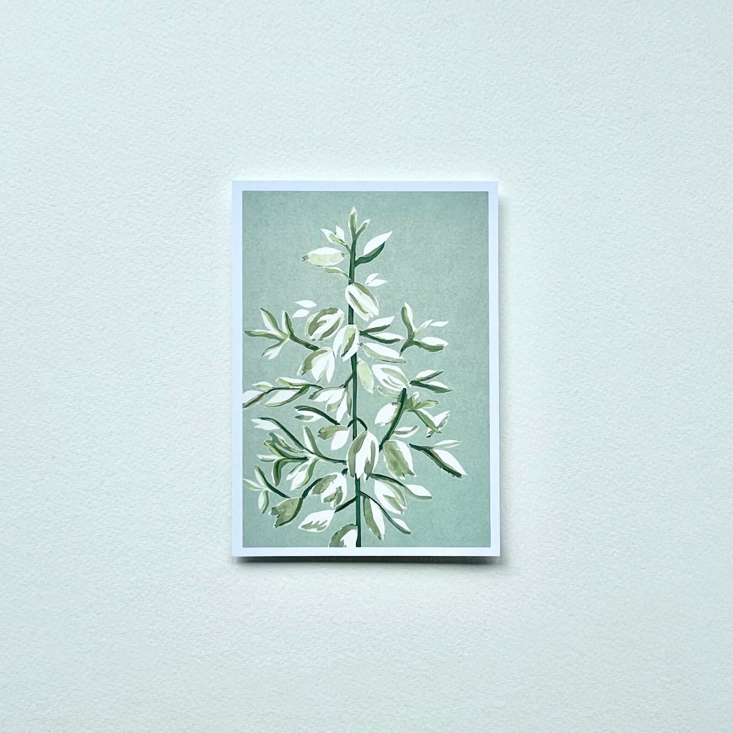Postkarte Yuccablüte