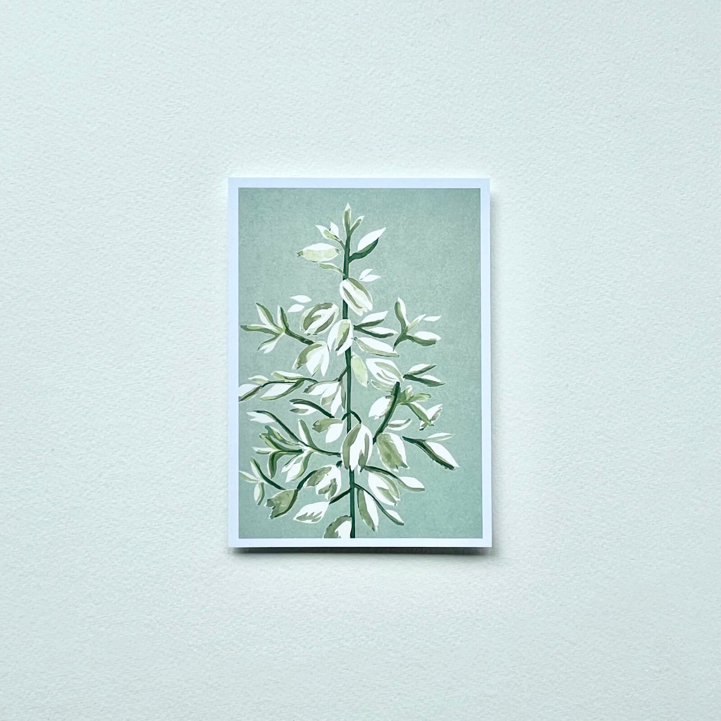Postkarte Yuccablüte (Händler)