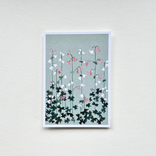Postcard Columbine (dealer)