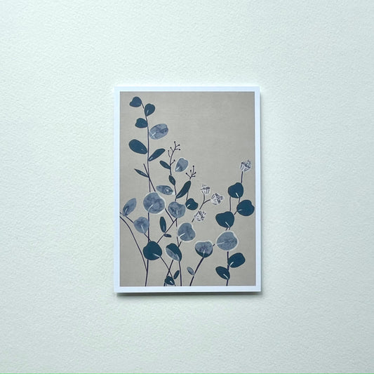Postcard Eucalyptus (Retailer)