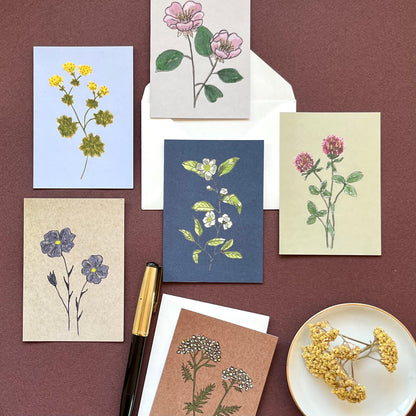 Minicard Klee (Merchant)
