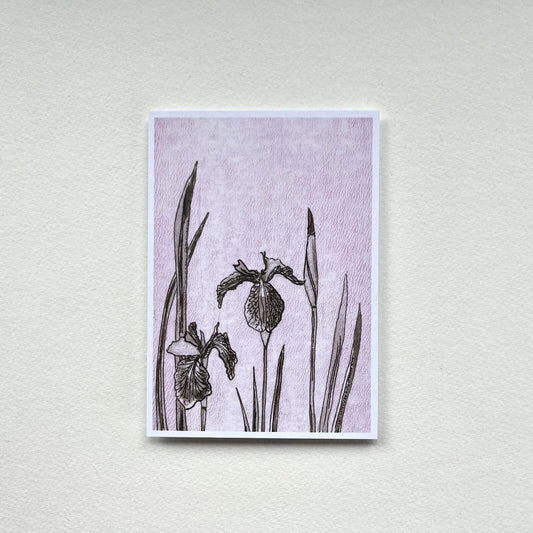 Postcard Iris