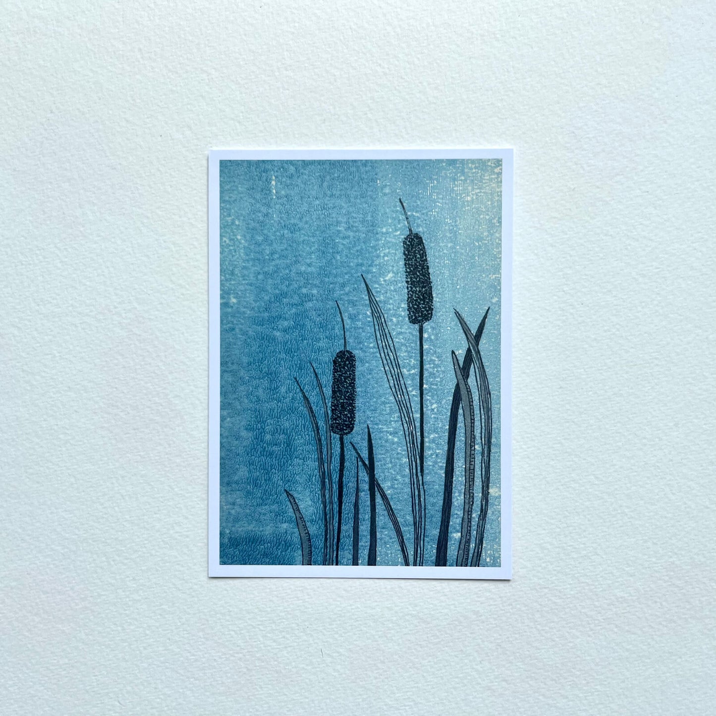 Postcard Reed