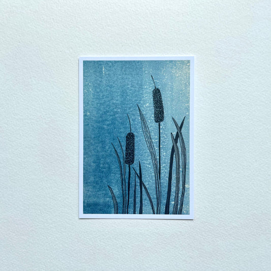Postcard Reed (dealer)