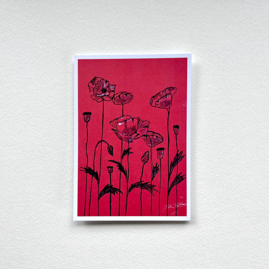 Postkarte Klatschmohn (Händler)