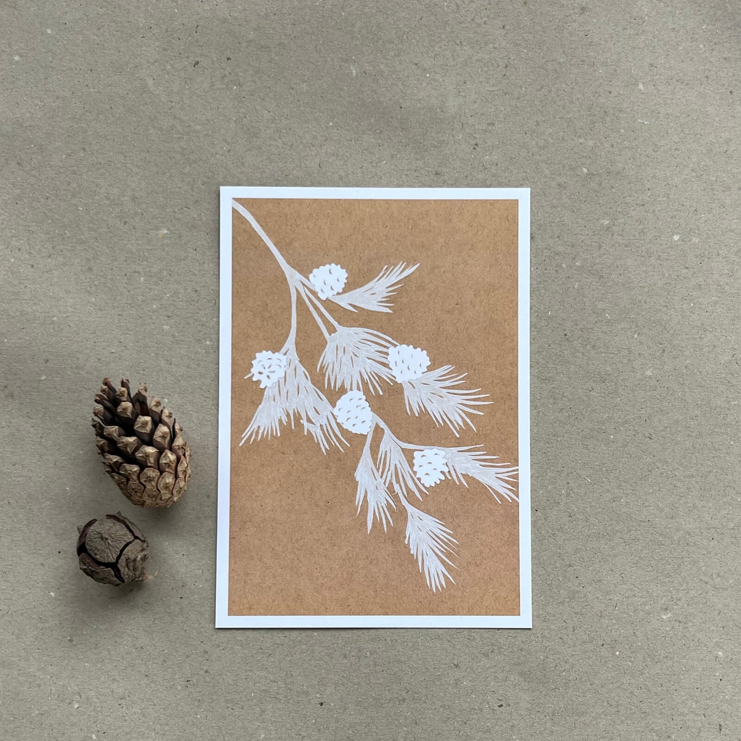 Postkarte Kiefernzweig (Händler)